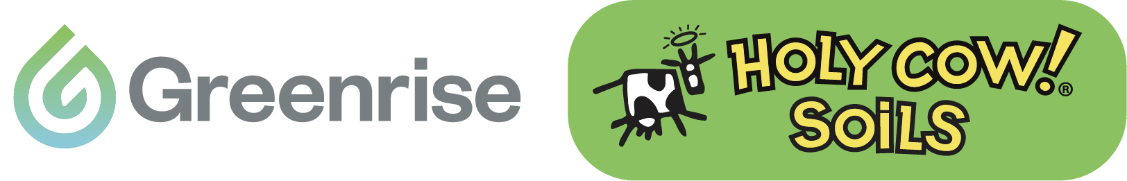 Holy Cows Logo
